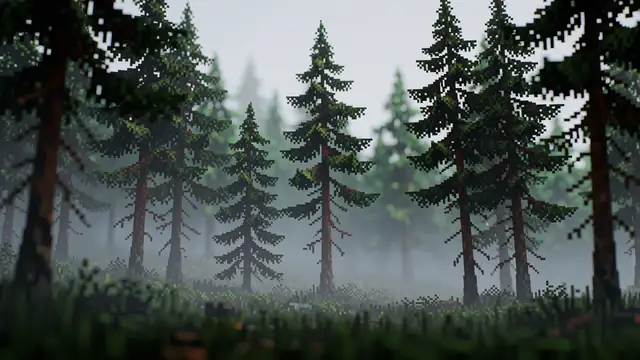 Misty Pine Forest — forest, dark, nature wallpaper